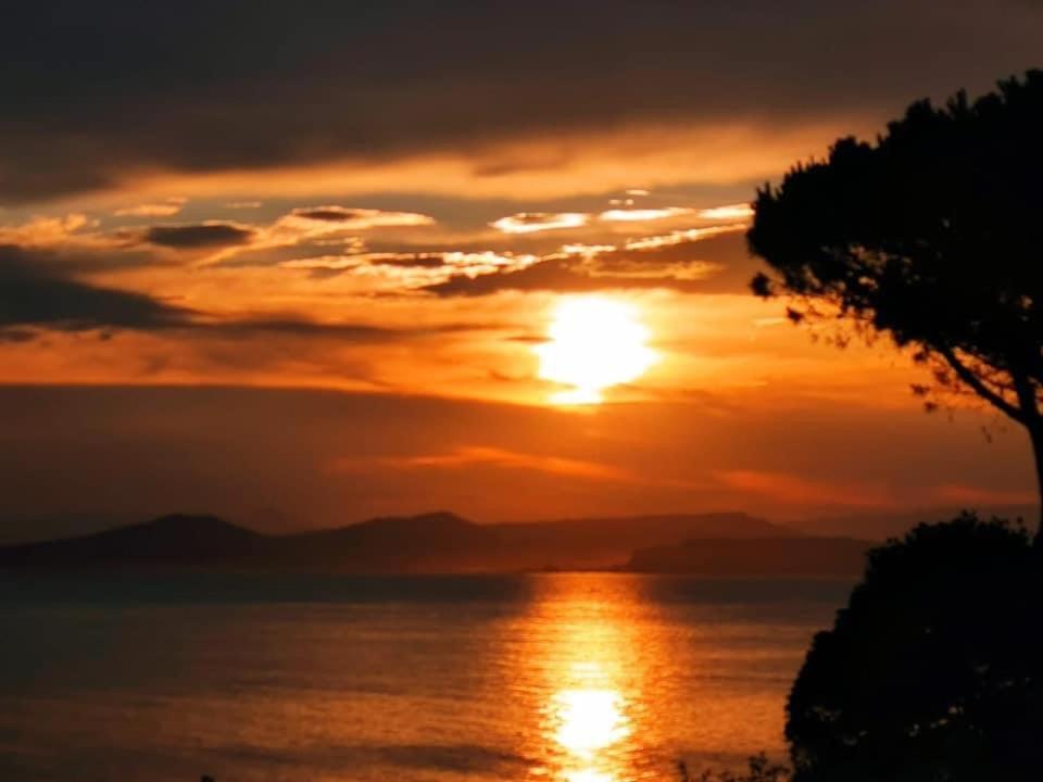 Ischia - Panoramic Apartment On The Sea Lacco Ameno  المظهر الخارجي الصورة